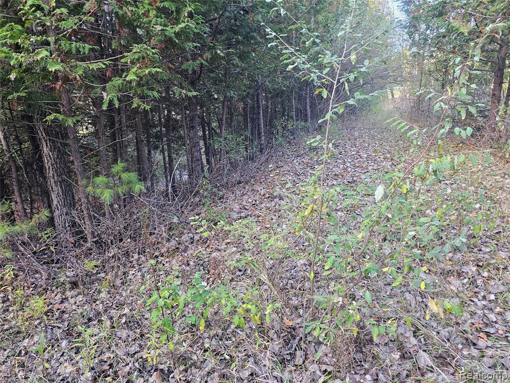 4901 M-55, Tawas City, MI 48763 — Photo 34