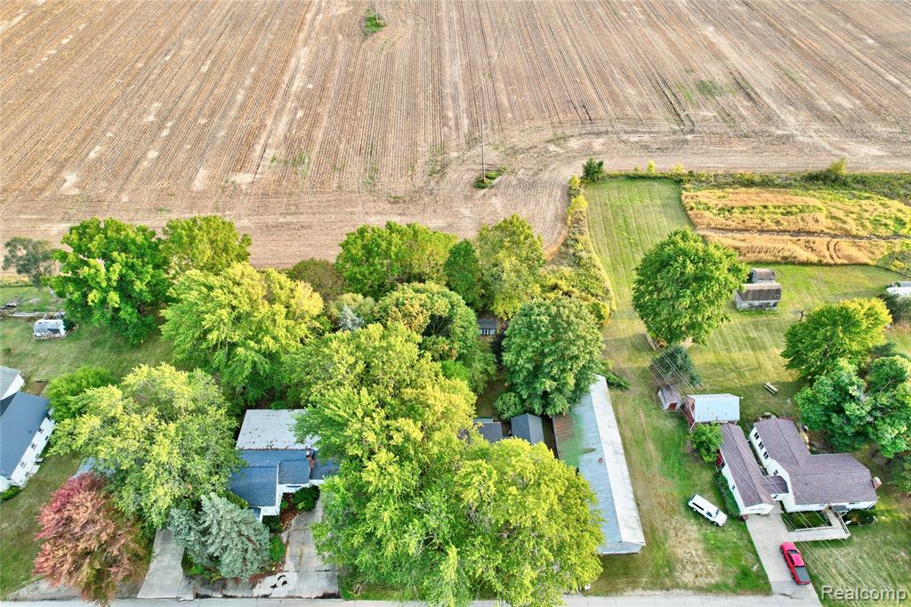 229 W Maple Street, Elsie, MI 48831 — Photo 37