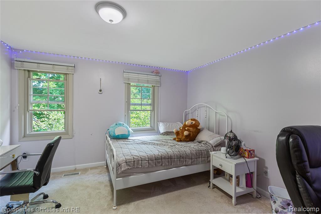 41101 Croydon Court, Northville, MI 48168 — Photo 19