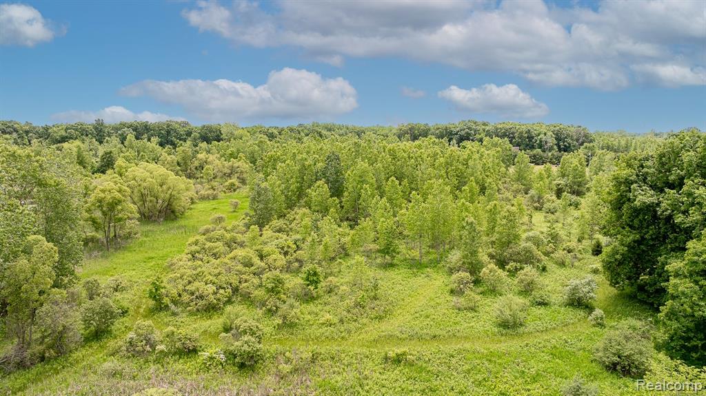 VL Fosland Farms Drive, Jackson, MI 49201 — Photo 11