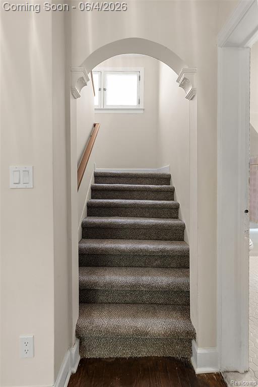3800 Sturtevant Street, Detroit, MI 48206 — Photo 52