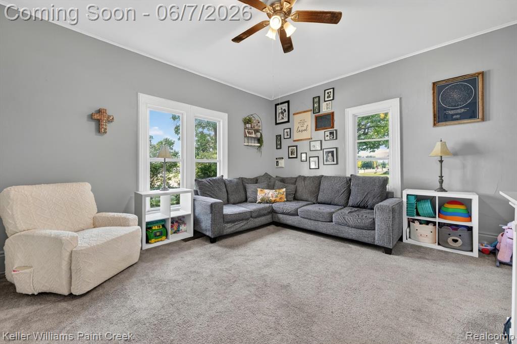 4322 Huron Street, North Branch, MI 48461 — Photo 7