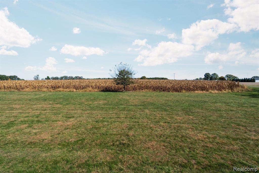 1131 N SEARLS Road, Webberville, MI 48892 — Photo 35