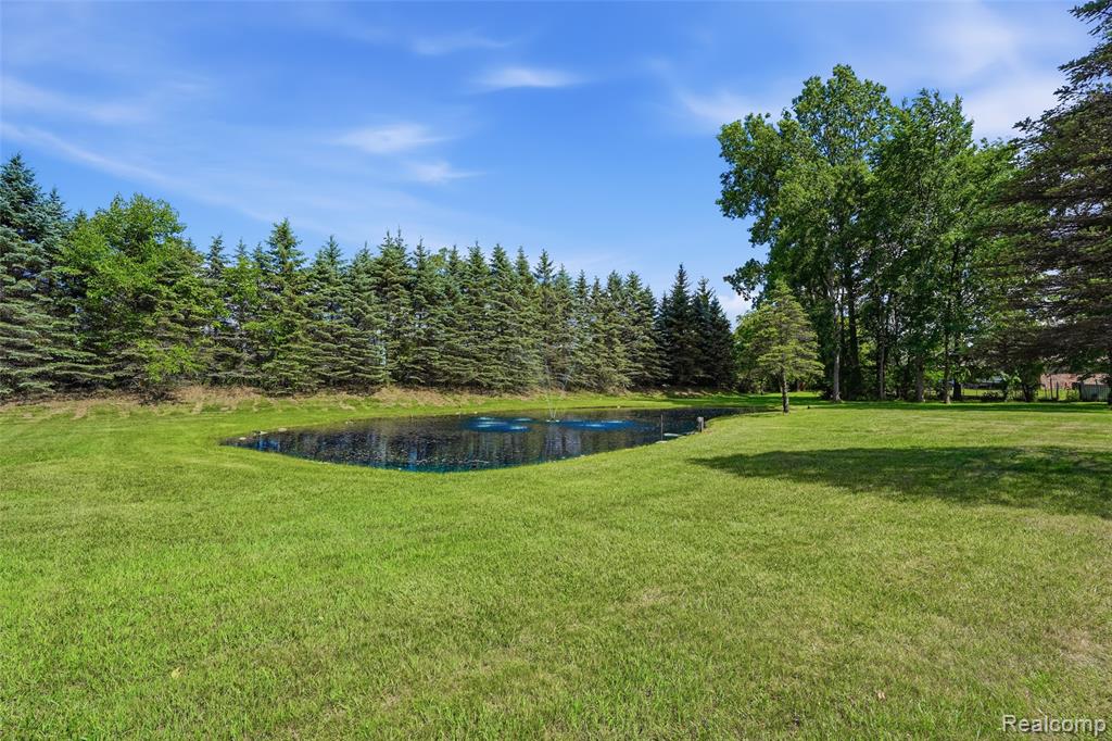 8888 Pilgrim, Washington, MI — Photo 39
