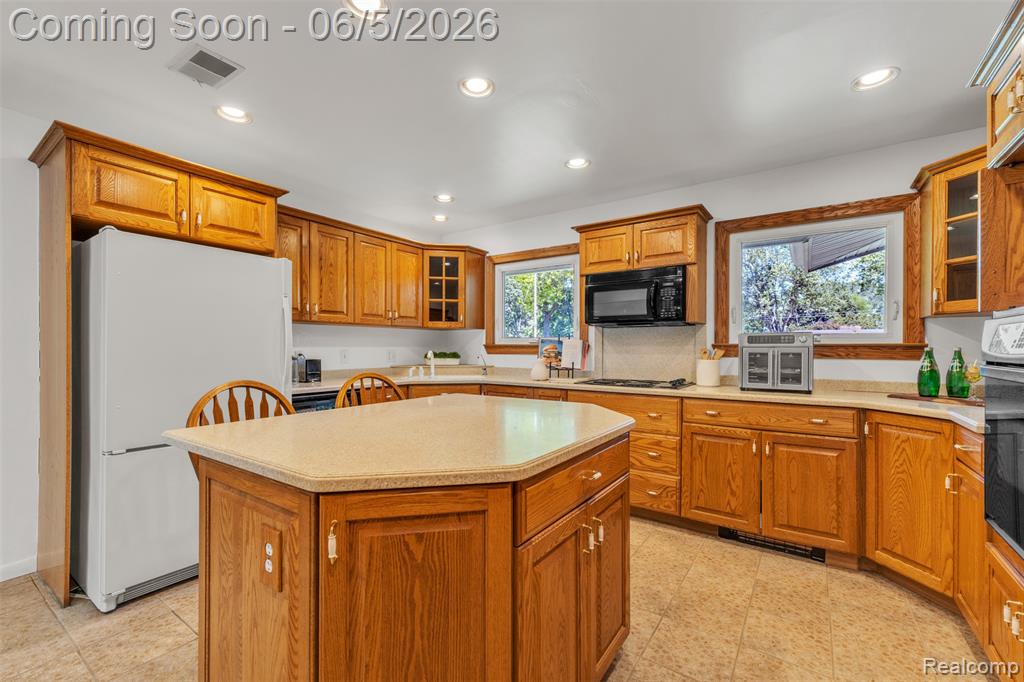 47435 N Shore Drive, Belleville, MI 48111 — Photo 14