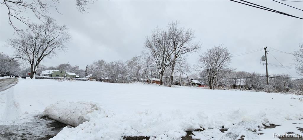 14405 MANNING Street, Detroit, MI 48205 — Photo 10