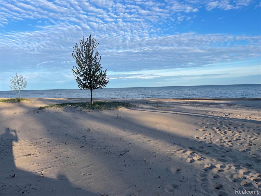 NA Oakridge Drive, Au Gres, MI 48703 — Photo 15