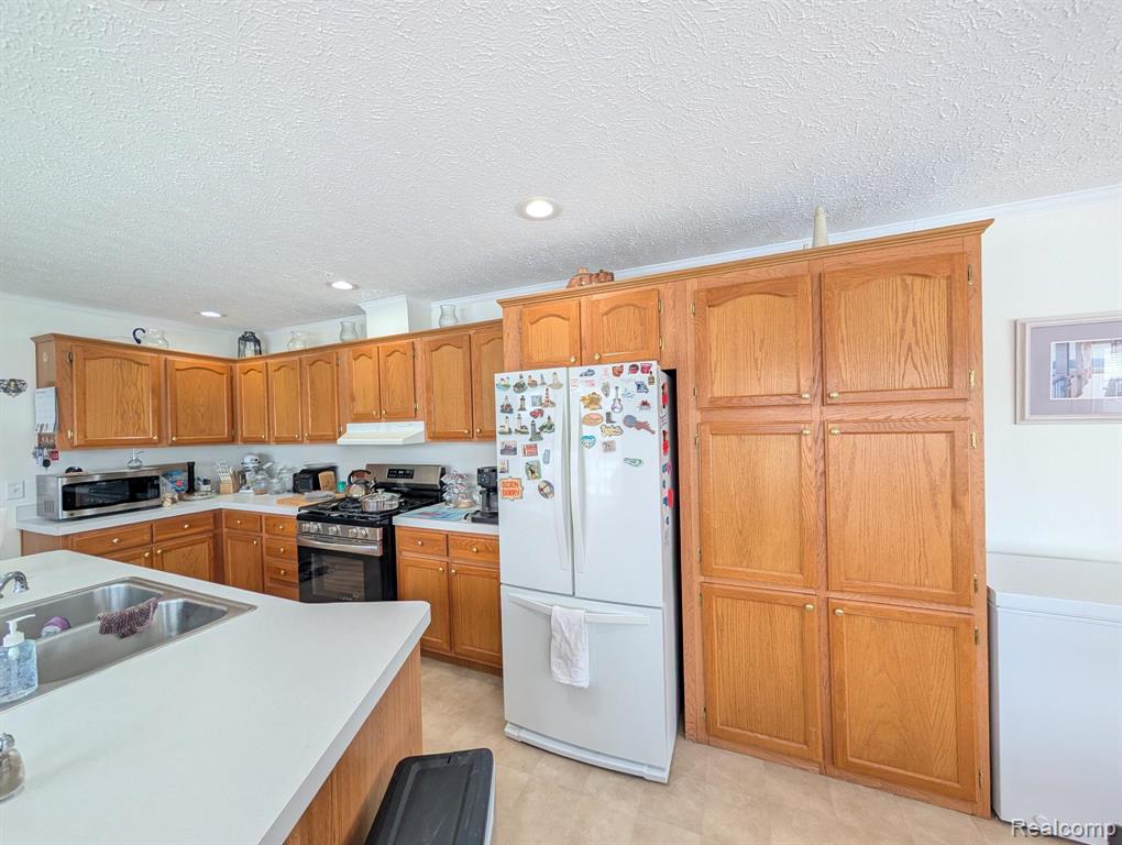 11242 Nearbrook Court, South Lyon, MI 48178 — Photo 4