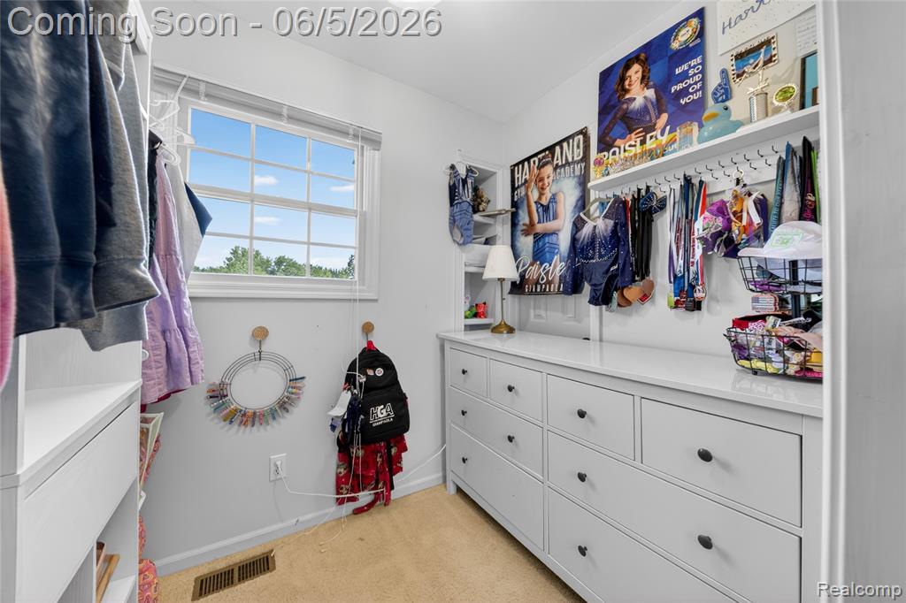 9191 Judd Road, Fowlerville, MI 48836 — Photo 53