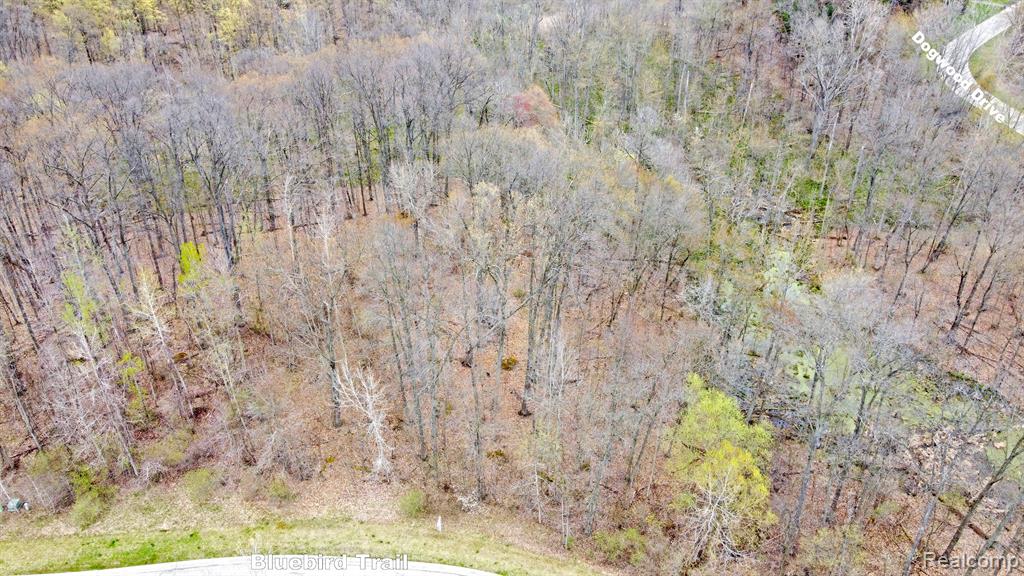 503 BLUEBIRD Trail, Ortonville, MI 48462 — Photo 20
