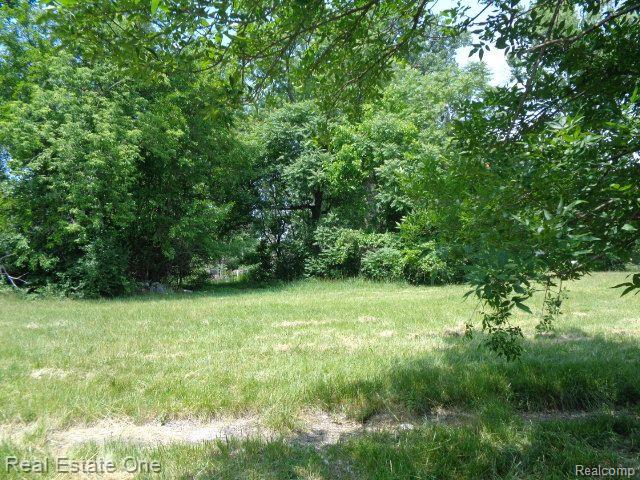 14605 DACOSTA Street, Detroit, MI 48223 — Photo 5