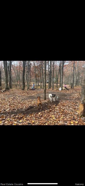 718 oak run, Harrison, MI 48622 — Photo 3
