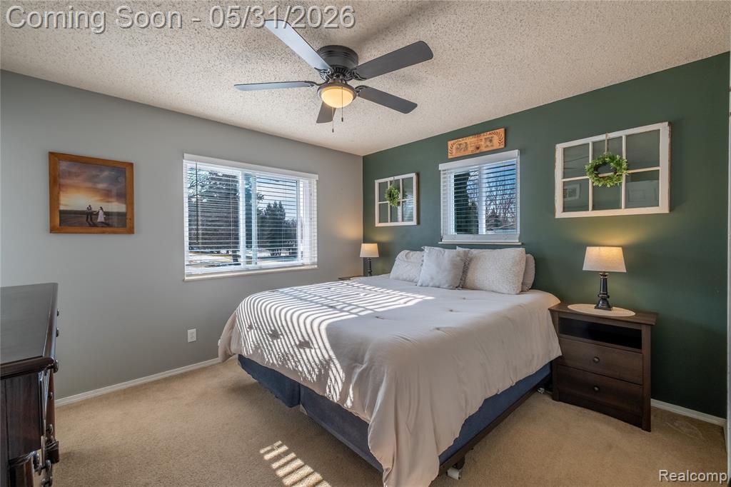4102 Farner Street, Linden, MI 48451 — Photo 9