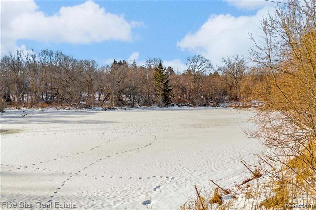 911 S Duck Lake Road, Milford, MI 48381 — Photo 11