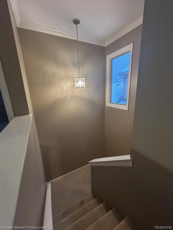 4896 Royal Cove Drive, Shelby Twp, MI 48316 — Photo 15