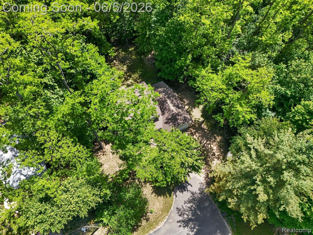 15129 Locust Grove Drive, Byron, MI 48418 — Photo 53