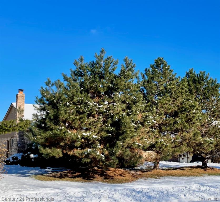 726 Baker Street, Rochester Hills, MI 48307 — Photo 25