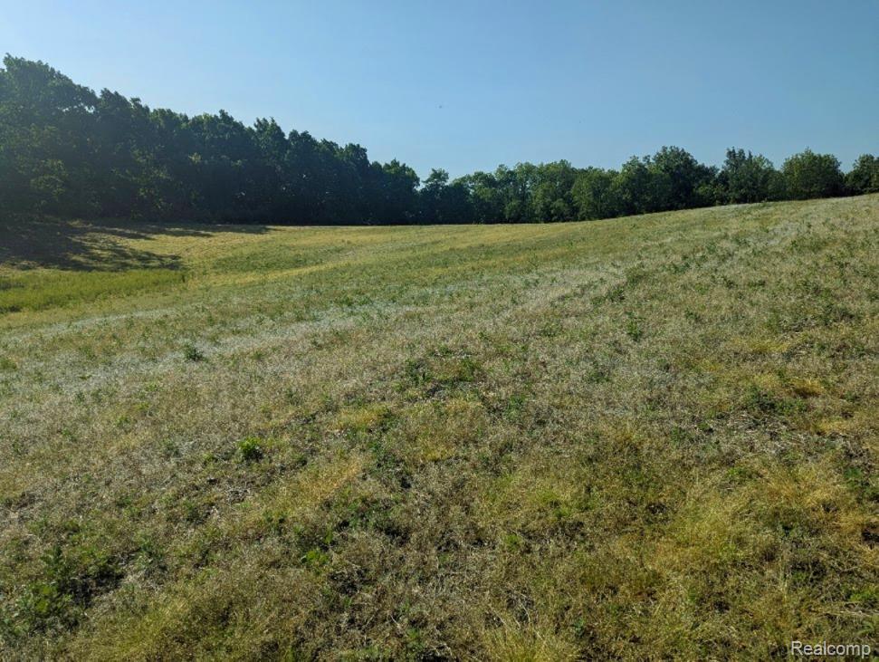 Parcel A - Rolston Road, Linden, MI 48451 — Photo 8