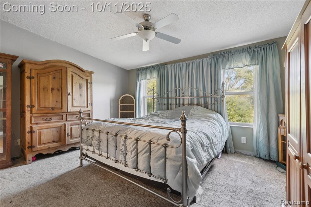 8168 Morrish Road, Swartz Creek, MI 48473 — Photo 18