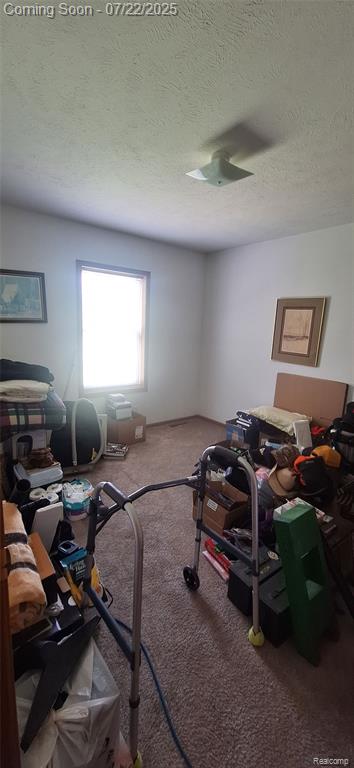 370 W Barnes Road, Fostoria, MI 48435 — Photo 9