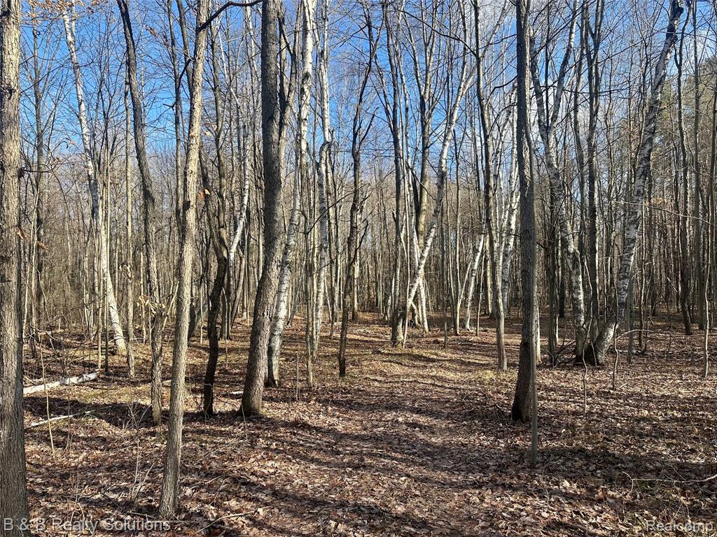 3280 Waltan Road, Vassar, MI 48768 — Photo 46