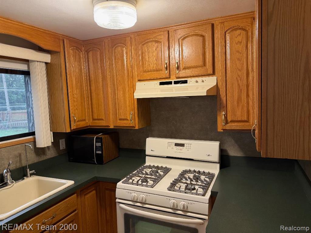 7452 Mansfield Street, Detroit, MI 48228 — Photo 7