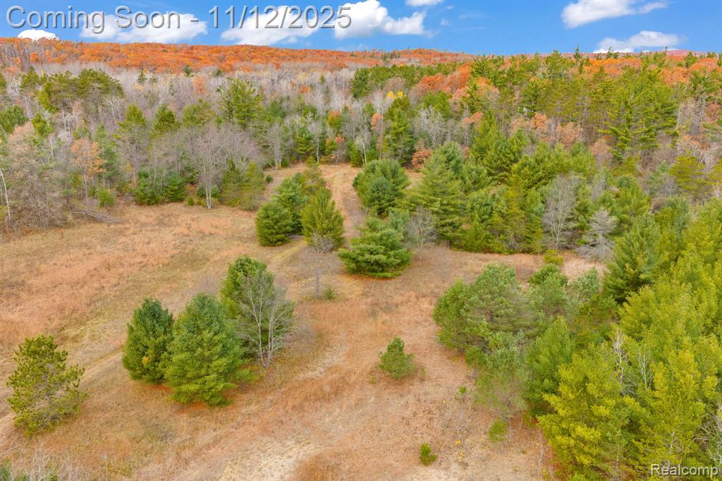 495 N M 65 Highway N, Curran, MI 48728 — Photo 43