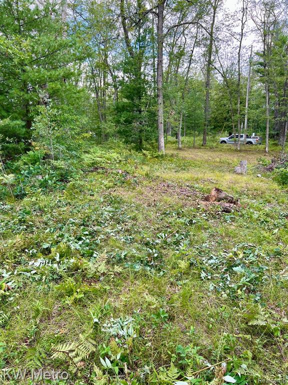 6629 S Tampa, Idlewild, MI 49642 — Photo 19