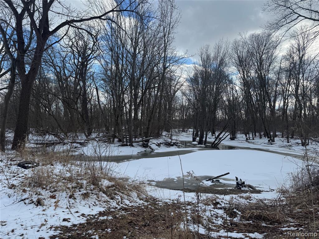 01 Remer Road, China, MI — Photo 3