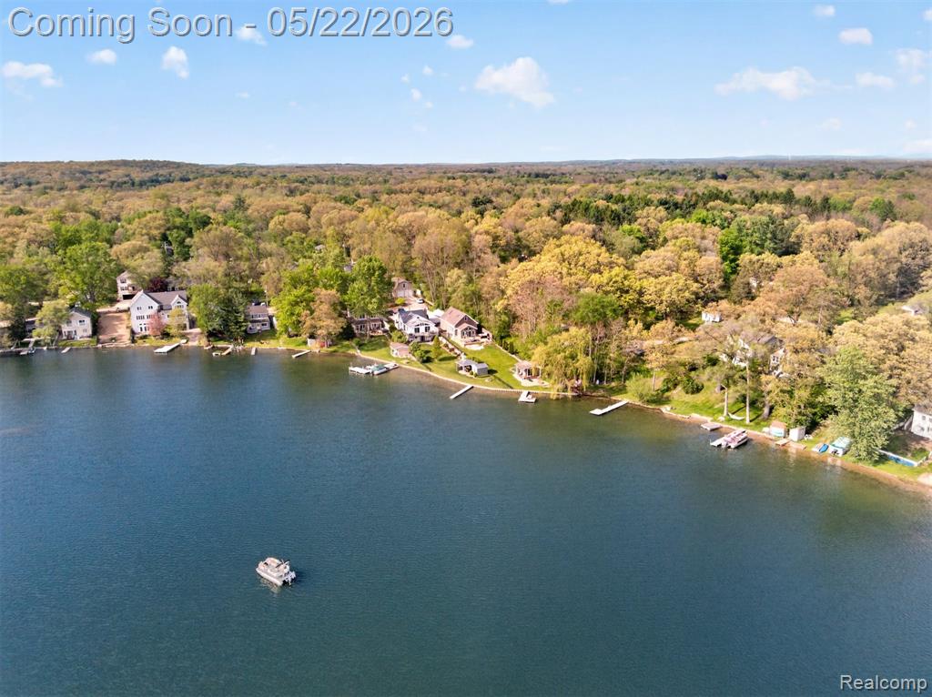 6548 Buckshore Drive, Whitmore Lake, MI 48189 — Photo 35