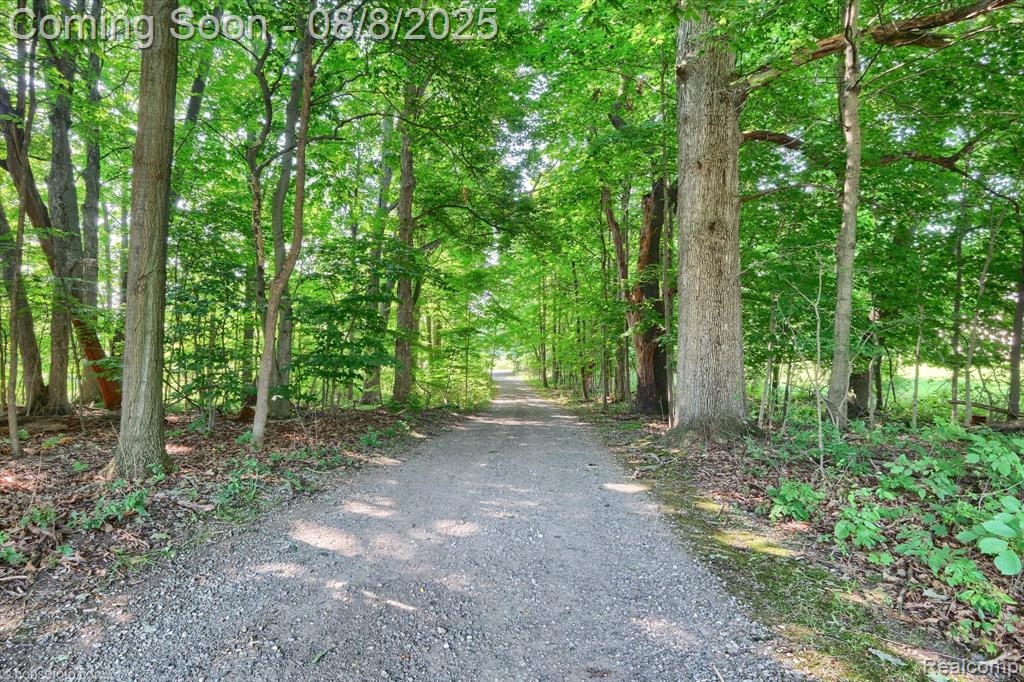 2784 S Blacks Corners Road, Imlay City, MI 48444 — Photo 71