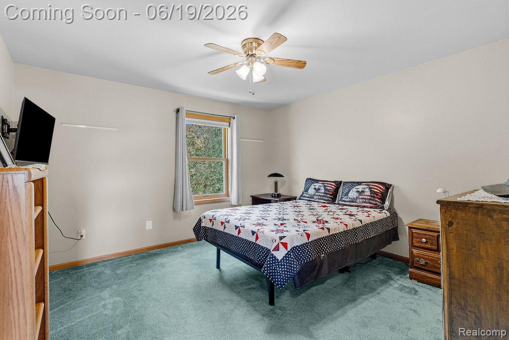 2867 Iris Lane, Hartland, MI 48353 — Photo 29