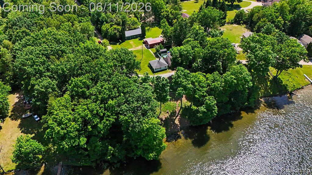 3931 S Shore Drive, Lapeer, MI 48446 — Photo 31