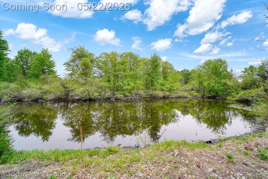 7001 Sweezy Lake Road, Brooklyn, MI 49230 — Photo 51