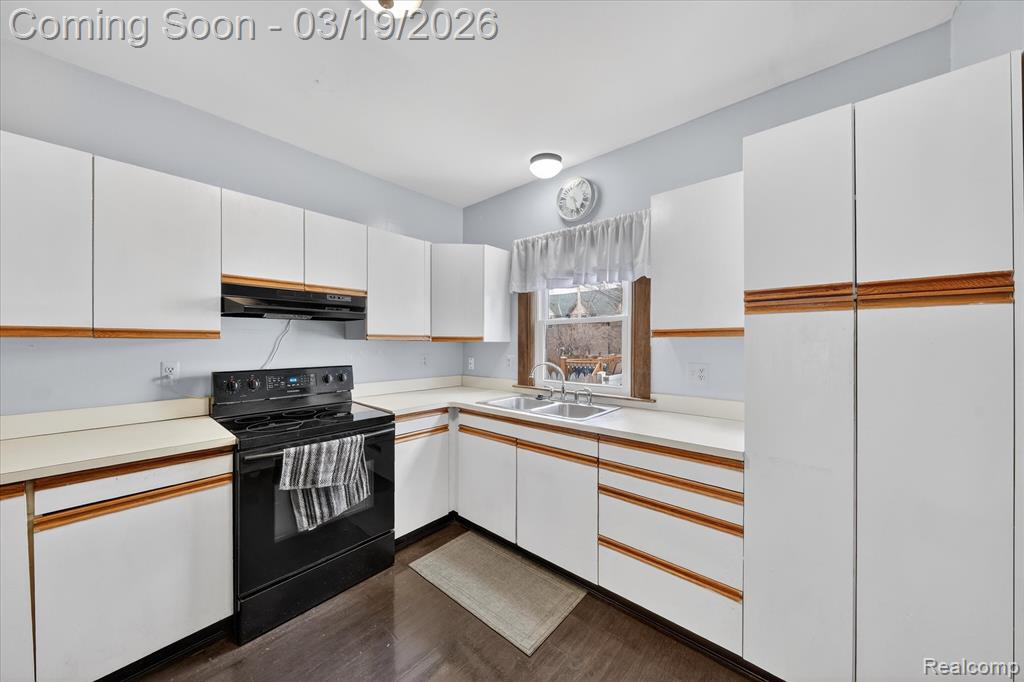 33 Ferrin Place, Mount Clemens, MI 48043 — Photo 16