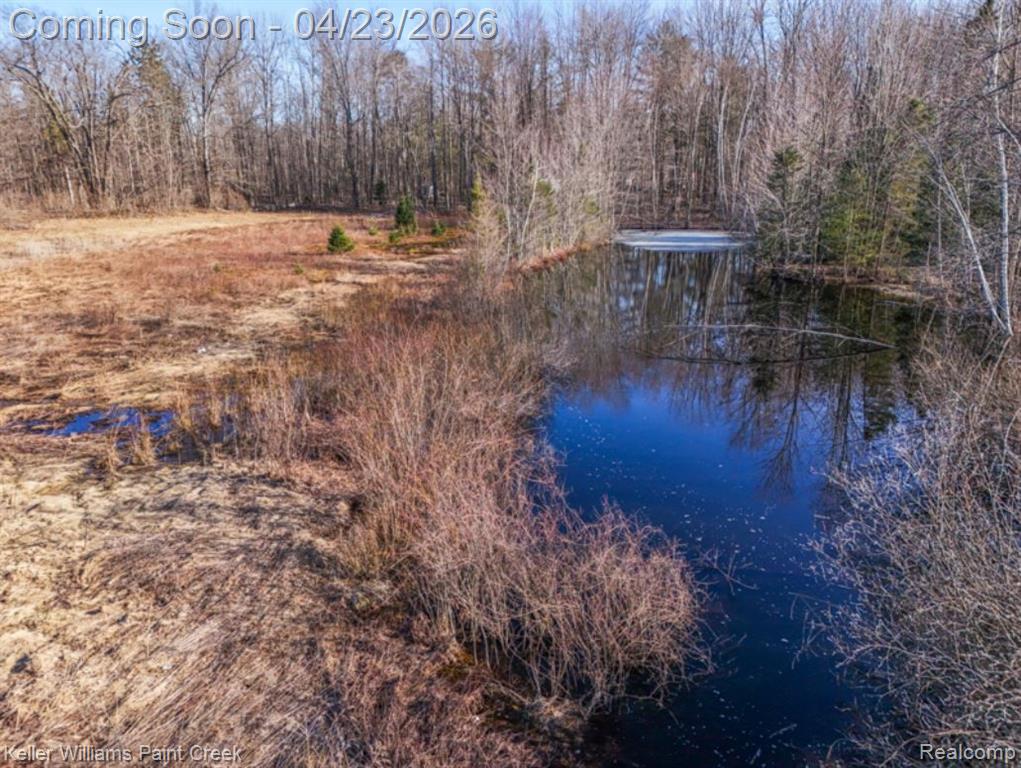 2800 Arrowhead Trail, Glennie, MI 48737 — Photo 43