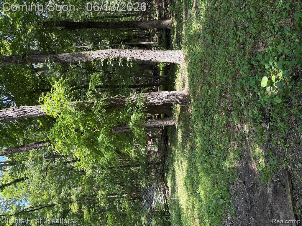 5844 Crandall Road, Howell, MI 48855 — Photo 35