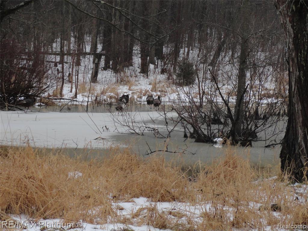 3396 E BALDWIN Road, Grand Blanc, MI 48439 — Photo 14