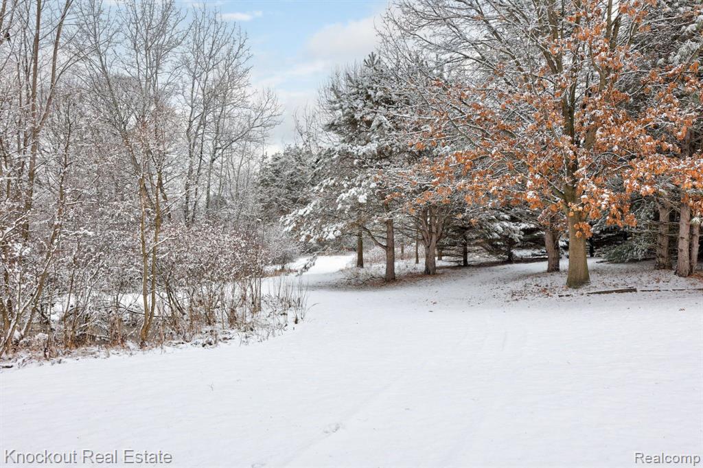 7165 Junction Road, Bridgeport, MI 48722 — Photo 49