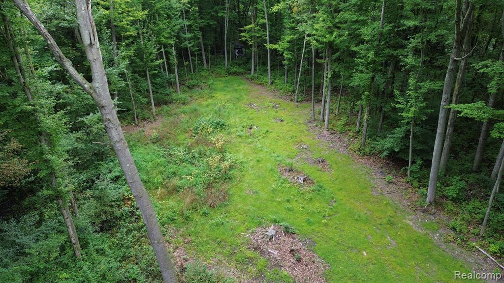 9020 PEPPER Lane, Onondaga, MI 49264 — Photo 6