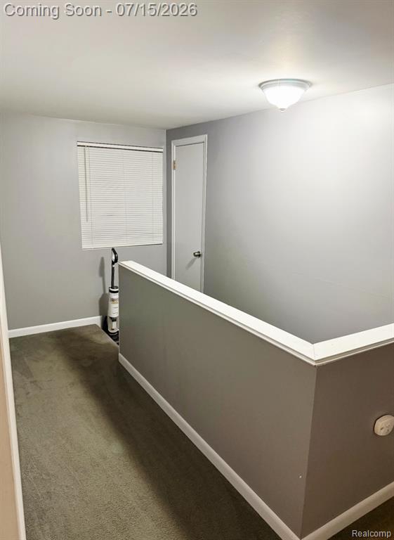 13110 Cogswell Street, Romulus, MI 48174 — Photo 21