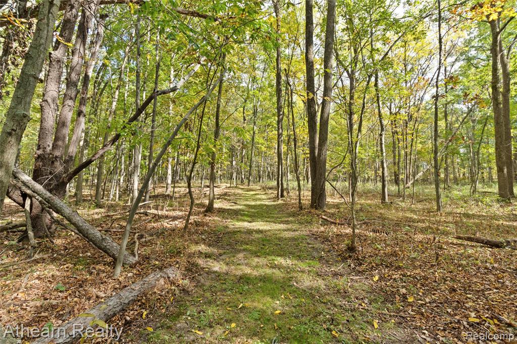 12471 Vernon Road, Bancroft, MI 48414 — Photo 28