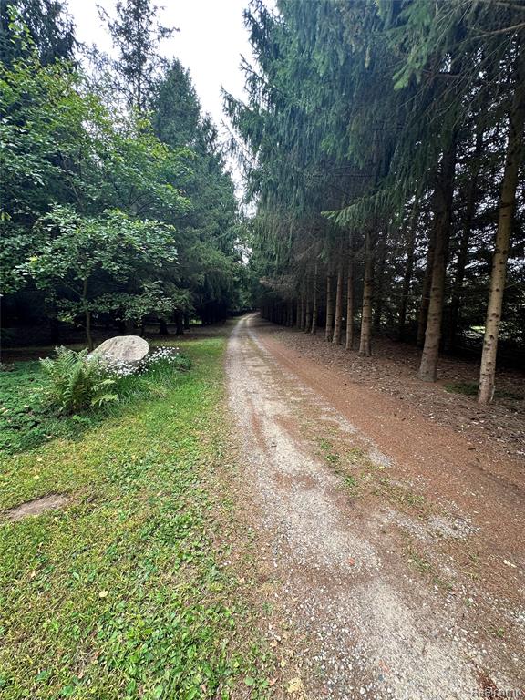 2843 North Branch Rd., North Branch, MI 48461 — Photo 58
