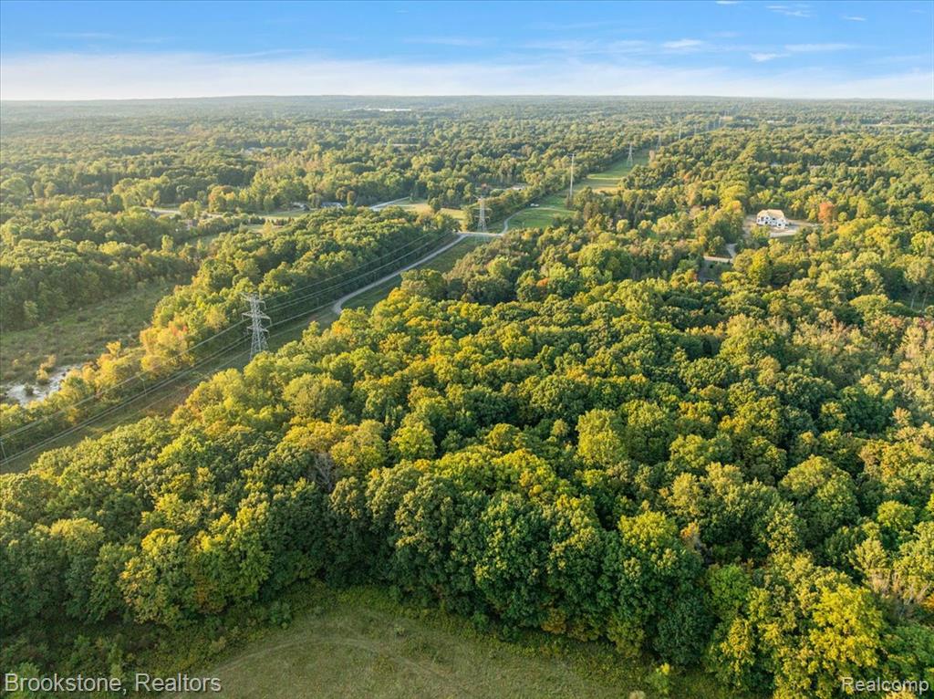 728 E Romeo Road, Oakland, MI — Photo 39
