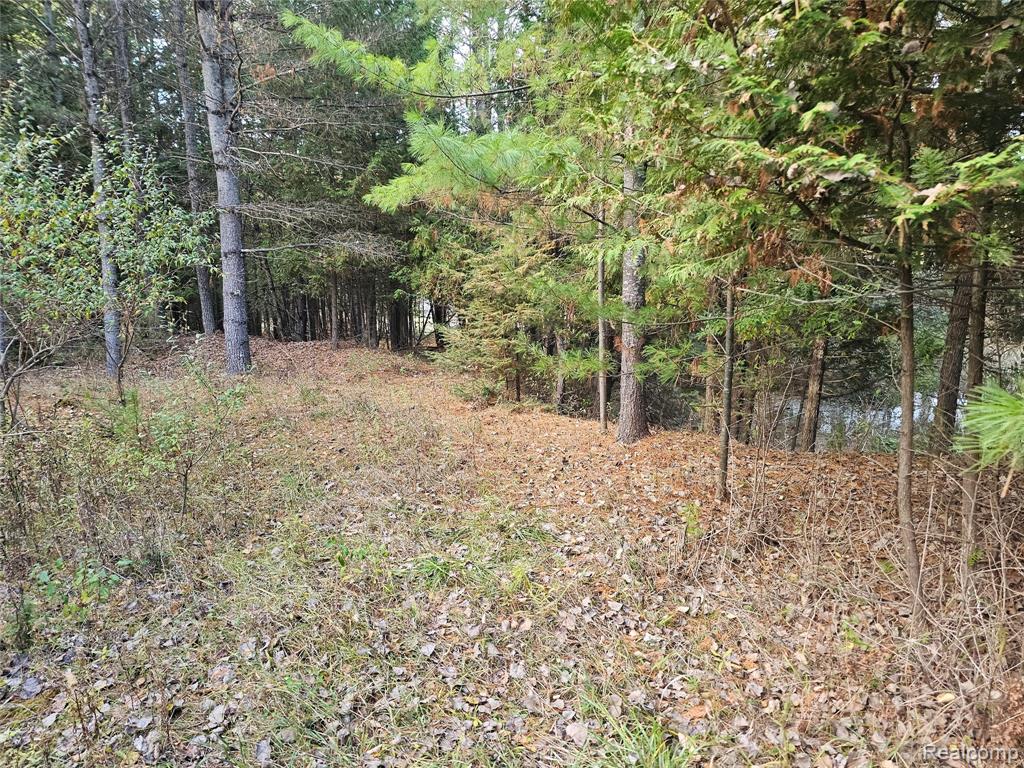 4901 M-55, Tawas City, MI 48763 — Photo 35