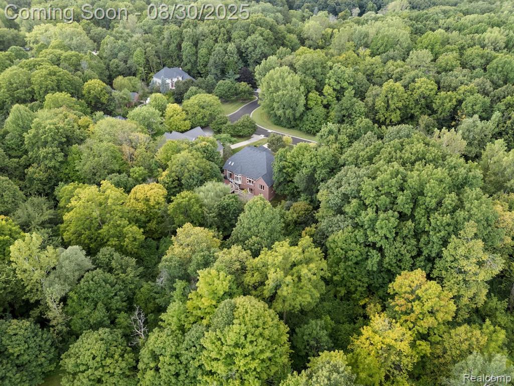 50173 Thetford Court W, Canton, MI 48187 — Photo 60