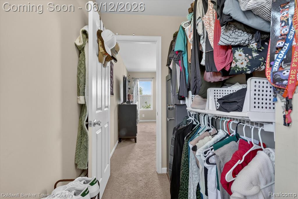 8604 Swartz River Drive, Fowlerville, MI 48836 — Photo 23
