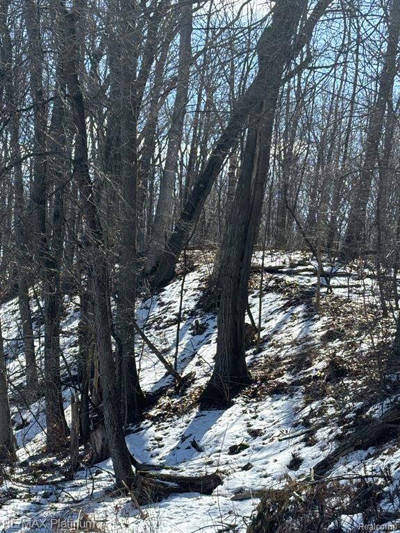 V/L TIPSICO LAKE ROAD, Holly, MI 48442 — Photo 15