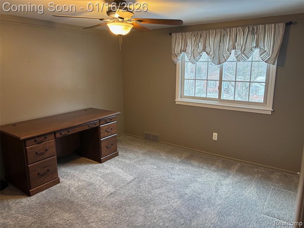 946 Novi Street, Northville, MI 48167 — Photo 12