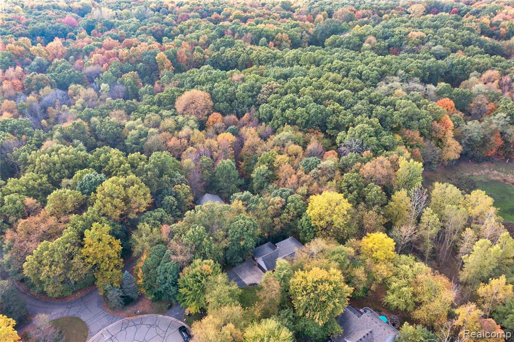 11410 Tall Shadows Court, Pinckney, MI 48169 — Photo 56